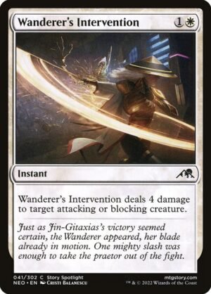 Wanderer’s Intervention