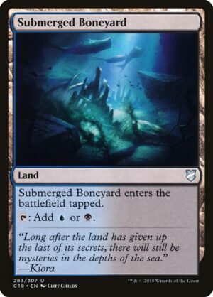 Submerged Boneyard (C18-283)