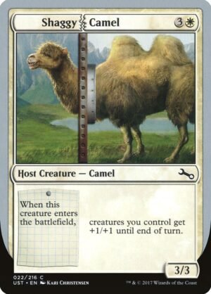 Shaggy Camel (UST-22)
