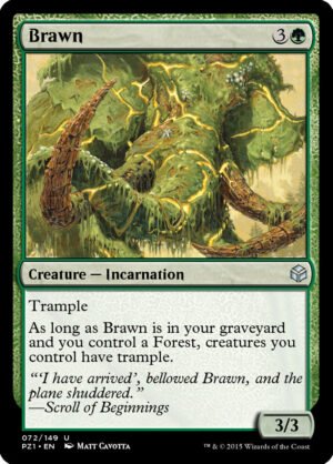 Brawn (PZ1-72)