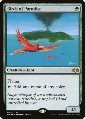 Birds of Paradise (DMR-151)