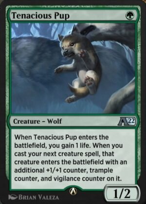 Tenacious Pup (YMID-56)