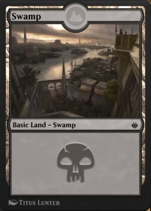 Swamp (AKR-334)
