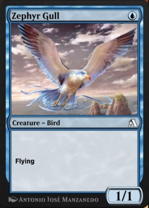 Zephyr Gull Zephyr Gull