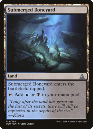 Submerged Boneyard (OGW-178)