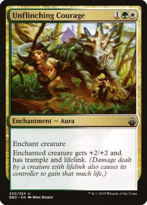 Unflinching Courage (BBD-230)