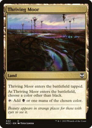 Thriving Moor (NCC-442)