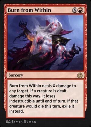 Burn from Within (SIR-147)