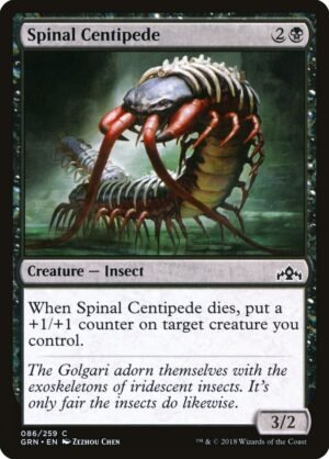 Spinal Centipede Spinal Centipede