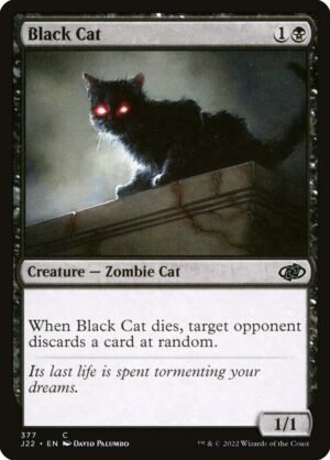Black Cat (J22-377)