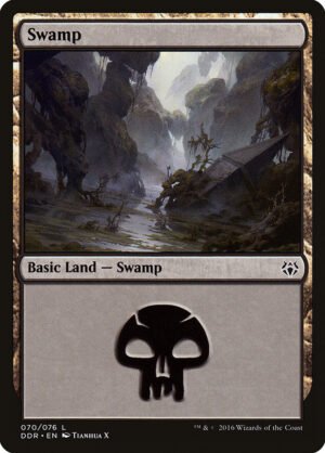 Swamp (DDR-70)