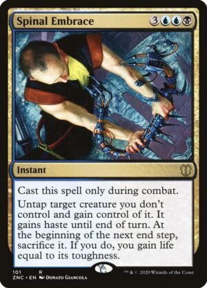 Spinal Embrace Spinal Embrace