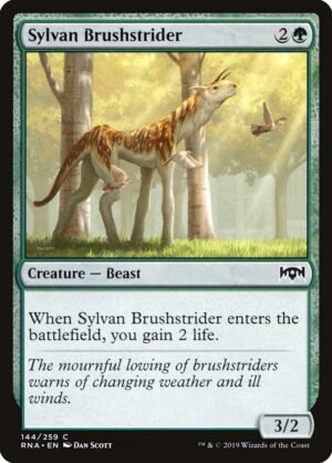 Sylvan Brushstrider (RNA-144)