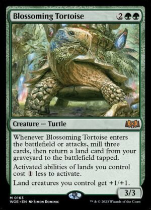 Blossoming Tortoise (PWOE-163p)