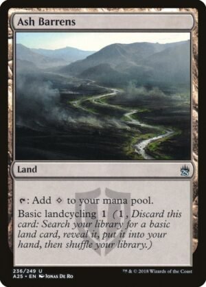 Ash Barrens (A25-236)