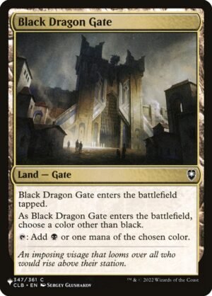Black Dragon Gate (PLST-CLB-347)