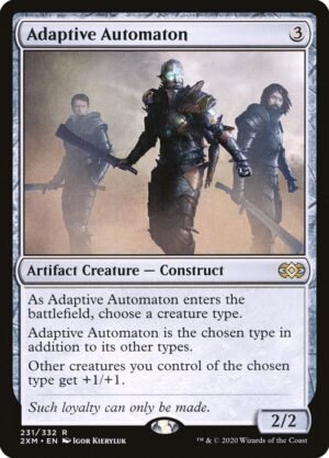 Adaptive Automaton Adaptive Automaton