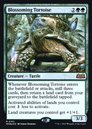Blossoming Tortoise (PWOE-163s)