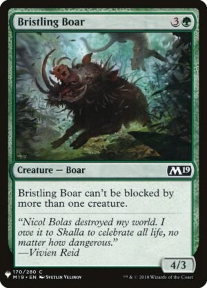 Bristling Boar (PLST-M19-170)