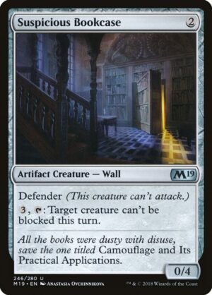 Suspicious Bookcase (M19-246)