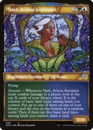 Nael, Avizoa Aeronaut Nael, Avizoa Aeronaut