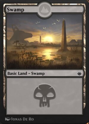 Swamp (AKR-332)