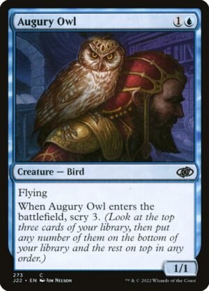 Augury Owl (J22-273)