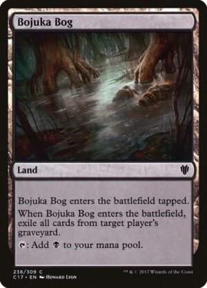Bojuka Bog (C17-238)