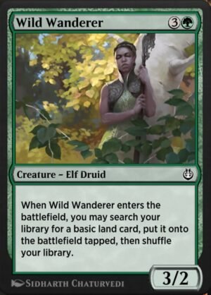Wild Wanderer Wild Wanderer