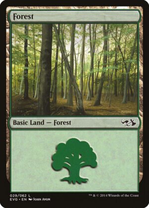 Forest
