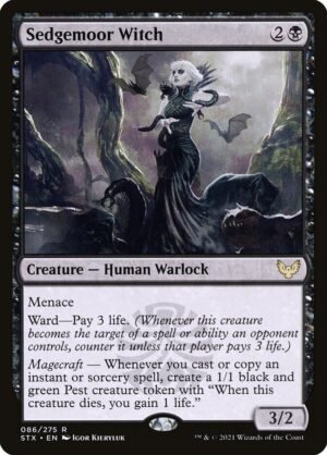Sedgemoor Witch Sedgemoor Witch
