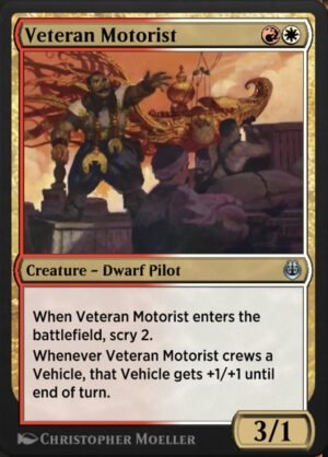 Veteran Motorist (KLR-212)