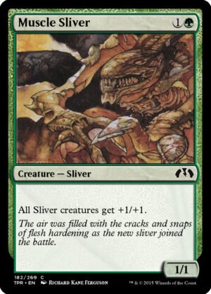Muscle Sliver