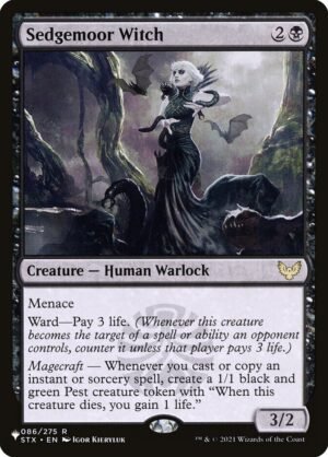 Sedgemoor Witch Sedgemoor Witch