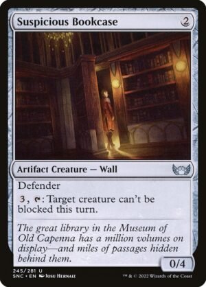 Suspicious Bookcase (SNC-245)