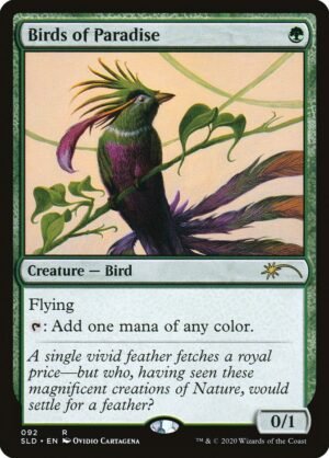 Birds of Paradise (SLD-92)