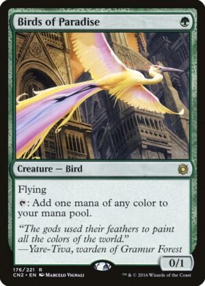 Birds of Paradise (CN2-176)