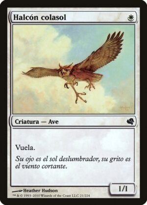 Suntail Hawk (PS11-21)