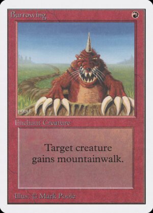 Burrowing (2ED-139)