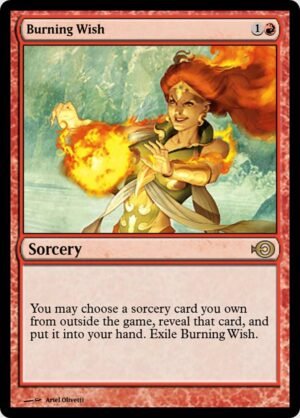 Burning Wish (PRM-43542)