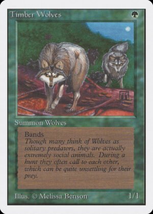 Timber Wolves (2ED-220)