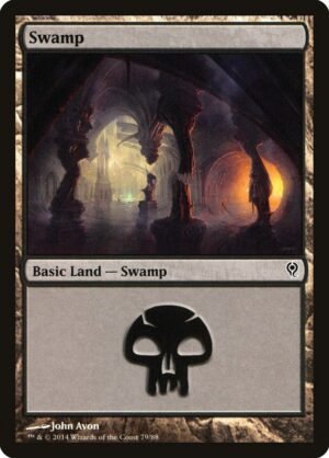 Swamp (DDM-79)
