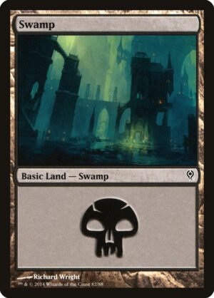 Swamp (DDM-82)