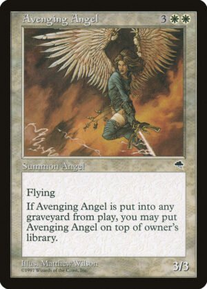 Avenging Angel (TMP-7)