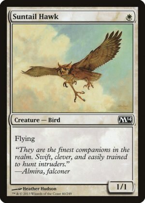 Suntail Hawk (M14-40)