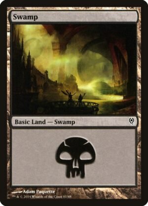 Swamp (DDM-81)