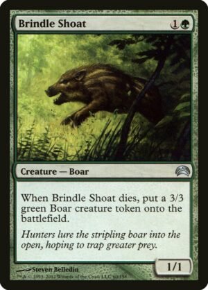 Brindle Shoat (PC2-60)