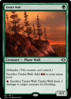 Tinder Wall (PRM-62483)