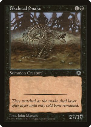 Skeletal Snake Skeletal Snake