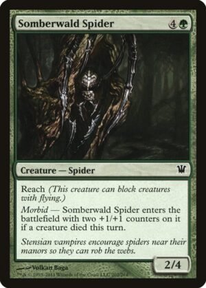 Somberwald Spider (ISD-202)